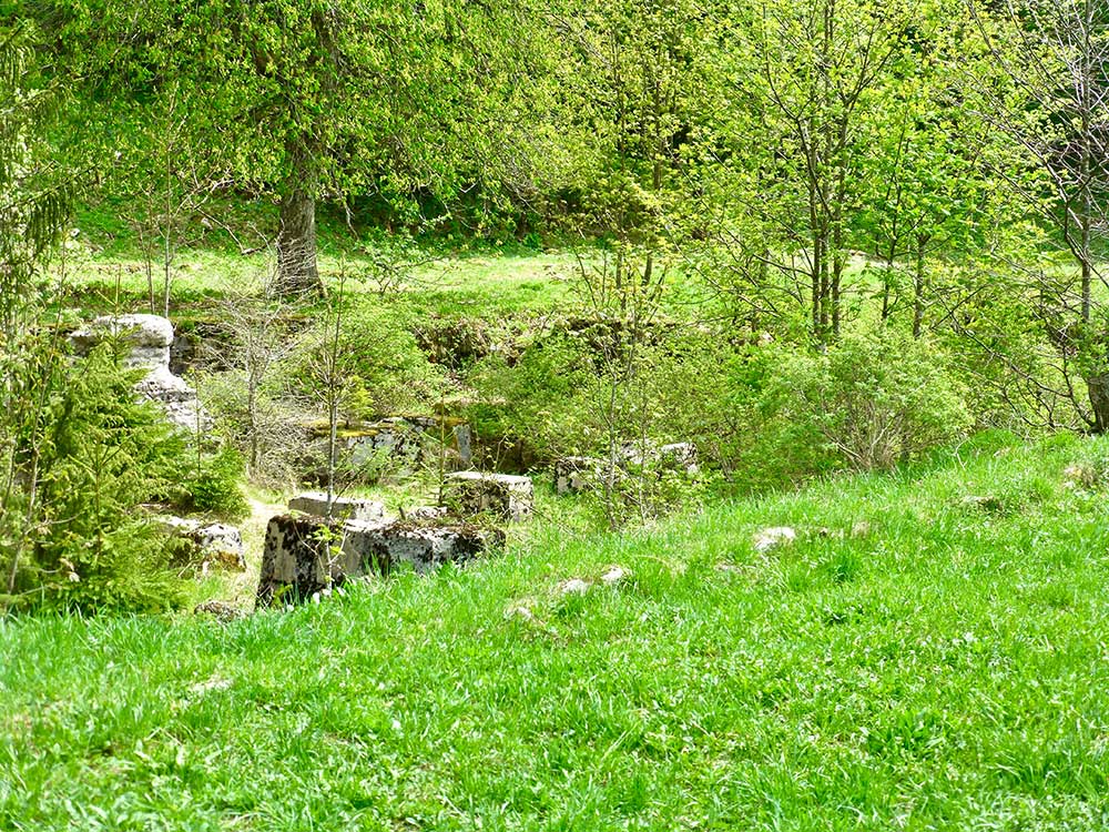 Natur heilt die Seele